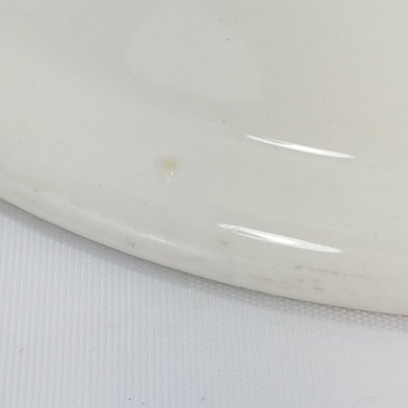 Vintage Yellowknife Inn DUDSON Cup and Saucer Polar Bear Northwest Territories - Picture 15 of 16